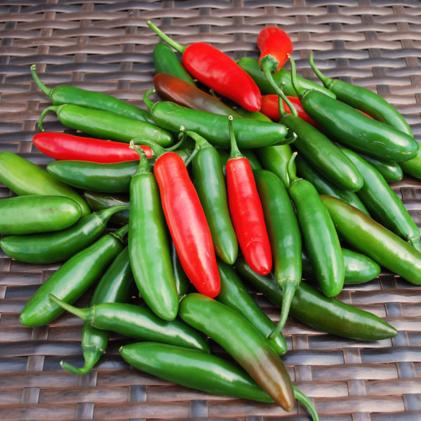 VF Pepper Serrano