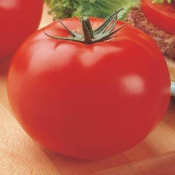 VF Tomato Big Beef