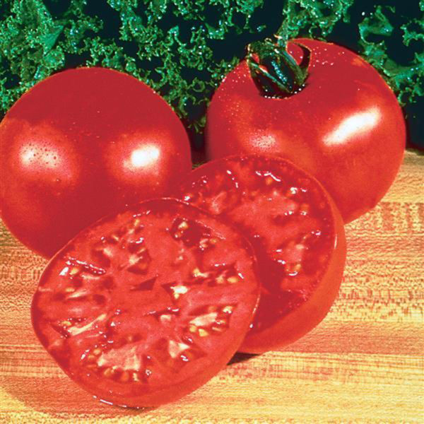 VF Tomato Burpee Big Boy