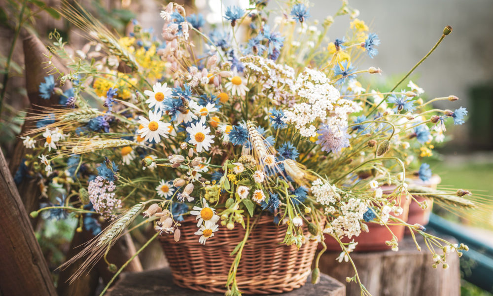 Flowers-web